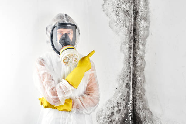 Mold Remediation for Vacation Homes in Boulevard Gardens, FL